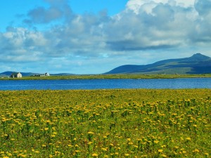 Machair-Hebrides