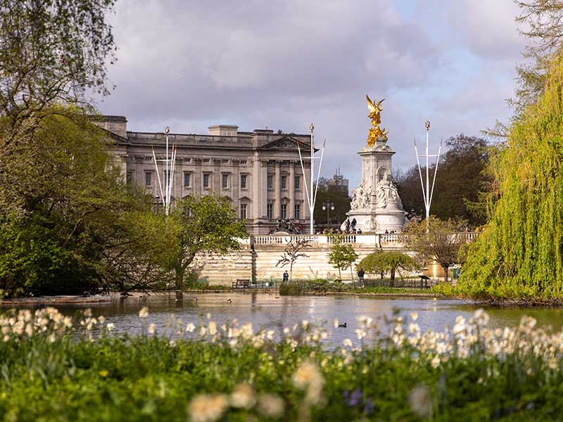 Buckingham Palace and the Victoria Memorial are seen across St. James's Park Lake, framed by lush green trees and out-of-focus white flowers in the foreground, under a partly cloudy sky.