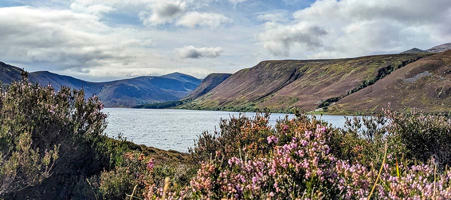 The Cairngorms