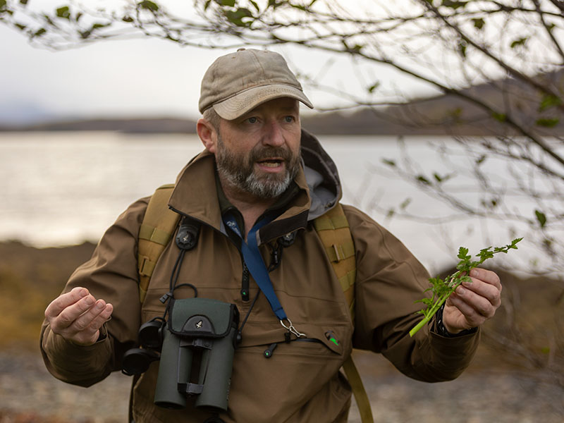 Foraging Experience, Highlands