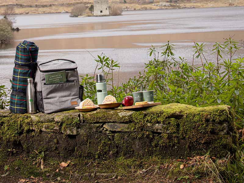 Picnic