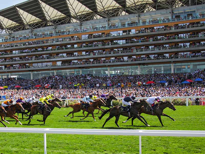 The Royal Races