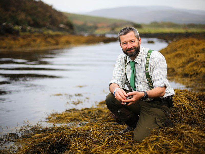Seafood Foraging