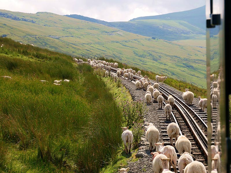 Snowdon Mountain Railway, Eryri National Park (Snowdonia)