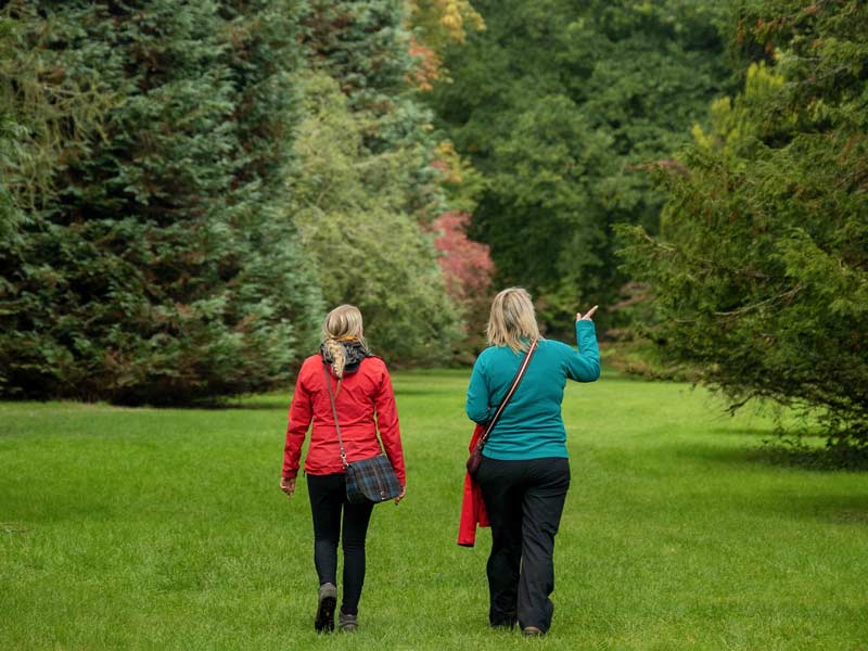 Two women explore Westonbirt Arboretum