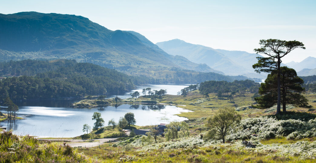 Beautiful Glen Affric Beautiful Glen Affric