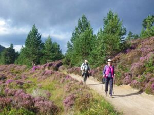 walking in the Cairngorms
