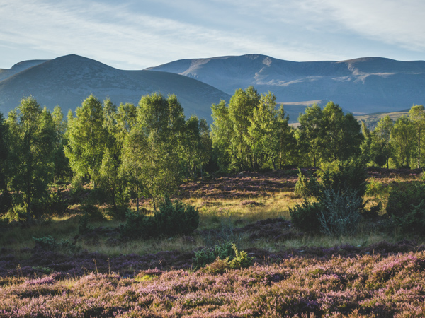 Outlander highlands