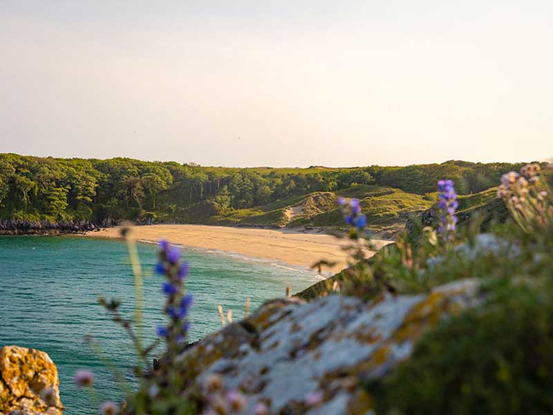 Pembrokeshire Beach